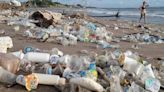 Inventaron un plástico que es completamente biodegradable - Diario Hoy En la noticia