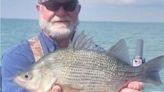 Man catches "monstrous" record-breaking white perch in Michigan