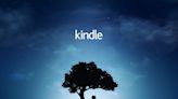 Kindle China eBookstore cloud download service ends in June · TechNode