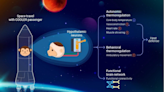 猴子的實驗展現了一種可能對太空旅行有用的大腦開關