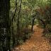 Los Trancos Open Space Preserve