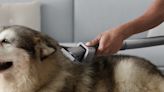 Dyson 推出寵物毛髮梳理吸頭，以及螢幕適用的軟毛除塵掃