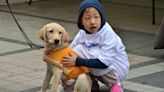Guide Dogs for the Blind to host egg hunt for kids who are blind or visually impaired