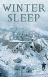 Winter Sleep (film)