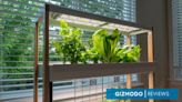 The Rise Hydroponic Garden Holds an Aspiring Farmer's Hand With Its App-Assisted Green Thumb