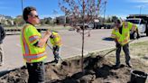 Colorado Springs celebrates Arbor Day by planting trees