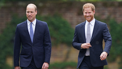 Les princes Harry et William en deuil : leur oncle, beau-frère de Lady Diana, est décédé