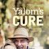 Yalom's Cure