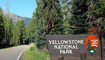 Shooting at Yellowstone National Park Leaves Suspect Dead, Ranger Injured