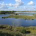 College Lake nature reserve