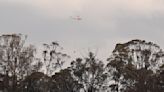 Wildfire destroys 3 homes in southeastern Australia and a man is injured by a falling tree