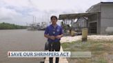 NBC 10 News Today: One potential act could bring some much-needed help to Louisiana shrimpers