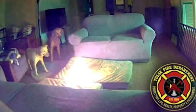 Video shows dog chewing cellphone battery pack, igniting fire in Oklahoma home