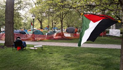 Maestros apoyan a los estudiantes que protestan en la Universidad de Chicago a favor de Palestina