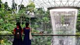 Things To Do At Changi Airport