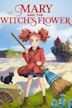 Mary and the Witch's Flower