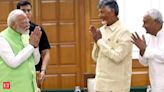 Budget for coalition parties: FM Sitharaman grants 'special' wishes of Naidu's Andhra Pradesh and Nitish's Bihar