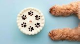 Pet-Inspired Dog Cake Deemed ‘Deranged’ & ‘Too Realistic’