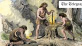 Forget the paleo diet fad – study shows cavemen dined on plants