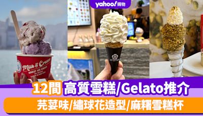 香港雪糕店推介2024｜12間高質雪糕/Gelato推介！芫荽味/繡球花造型/麻糬雪糕杯