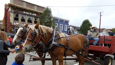 Hawley Harvest Hoedown, with art auction, cornhole, music, more is Saturday and Sunday