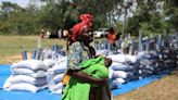 More than half of Zimbabwean population will need food aid, cabinet says