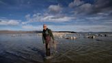 Conservationists fight to end Los Angeles water imports from Eastern Sierra's Mono Lake