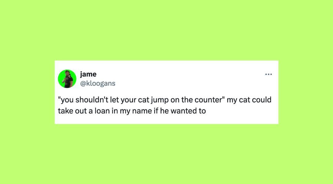 23 Of The Funniest Tweets About Cats And Dogs This Week (April 27-May 3)