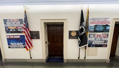 GOP’s Rosendale hangs anti-IVF posters outside office