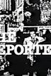 The Reporter (TV series)