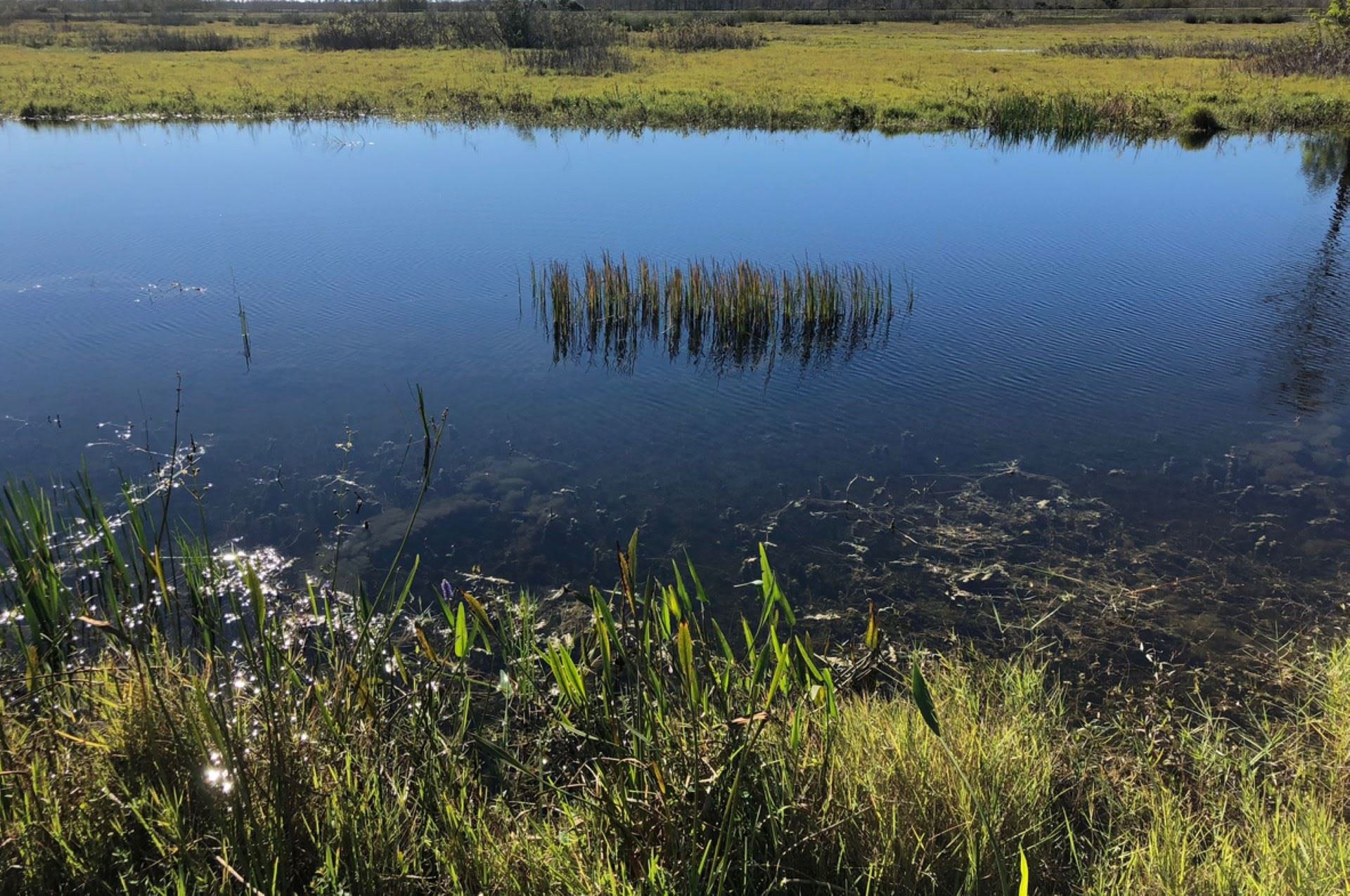 US government joins forces with local conservation groups to establish new wildlife refuge area: 'Treasured outdoor spaces for current and future generations to enjoy'