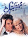 Splash – Eine Jungfrau am Haken