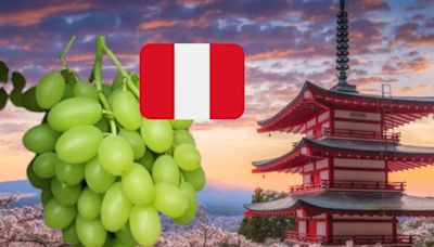 Perú establece un nuevo hito en exportaciones frutícolas hacia Japón: ¿cómo impacta en la economía?
