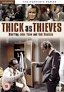 Thick as Thieves (TV series)