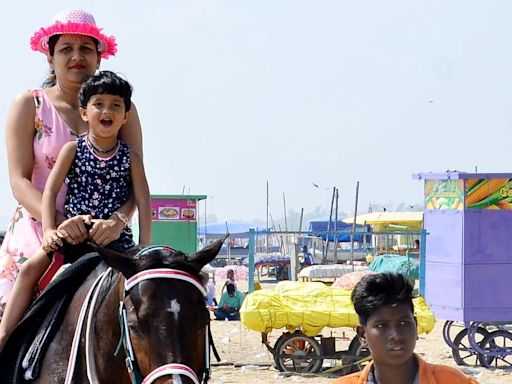 Panel to frame guidelines for use of horses for joy rides, T.N. govt. informs Madras High Court