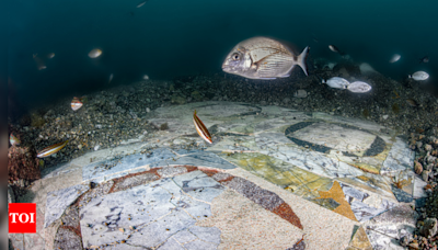 3rd century AD mosaic discovered in submerged Italy villa off Southwestern coast - Times of India