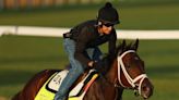 Kentucky Derby: Fierceness' odds keep shrinking ahead of the 150th race