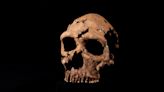 Neanderthal skull is pieced back together as part of Netflix documentary