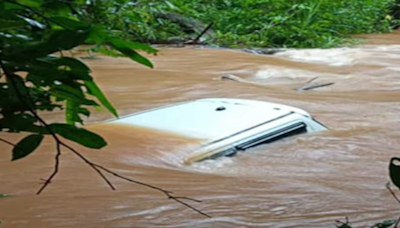 靠Google maps導航上路 「車子被河流沖走」2男神奇卡大樹獲救