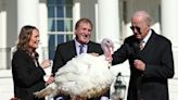 Biden pardons pair of Thanksgiving turkeys: Chocolate and Chip