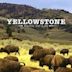 Yellowstone (British TV series)