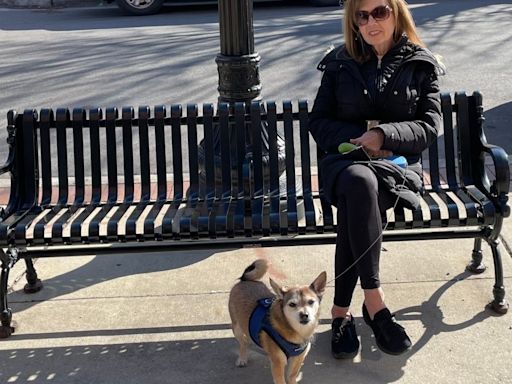 Woman wounded in stabbing while walking her dog near Union Station feeling 'lucky to be alive'