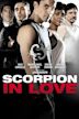 Scorpion in Love