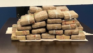 Border officers seized $1.3 million in cocaine at port of entry