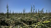 Today marks 2 years since devastating Aug. 10 derecho slammed Iowa