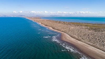 Police find alleged tents of missing Australian and American surfers in Mexico