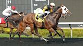 Horse racing returns to Presque Isle Downs: 5 things to know about this year's meet