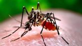 With onset of monsoon, cases of dengue, typhoid are on the rise in Telangana - ET HealthWorld