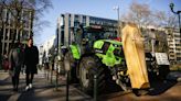 Farmers' protests have sprung up across Europe, even as some cease