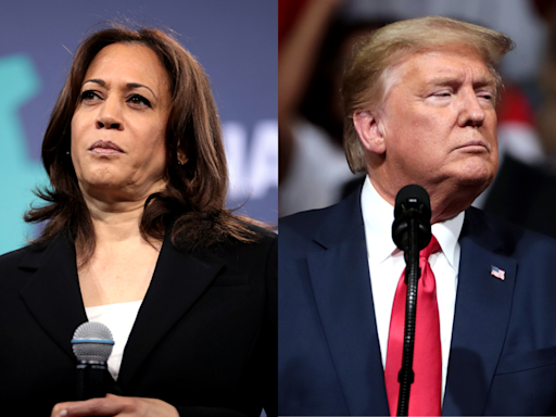 Disputa presidencial entre Kamala Harris e Donald Trump tem empate técnico, mostra levantamento